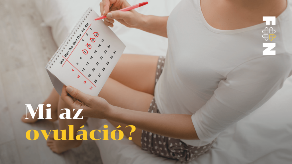 Mi az ovuláció? - Funkcionális Orvoslás