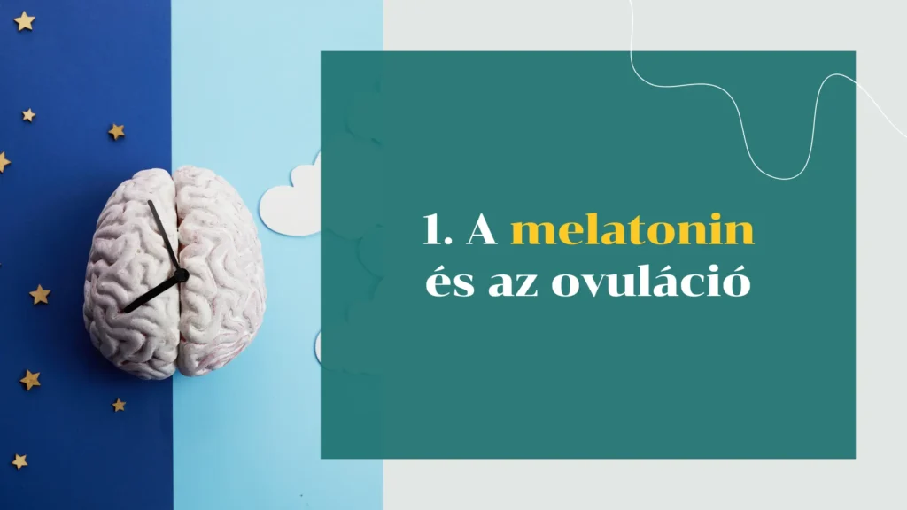 A melatonin és az ovuláció 