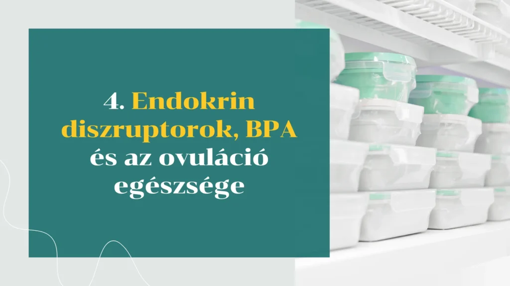 Endokrin diszruptorok, BPA és az ovuláció egészége 