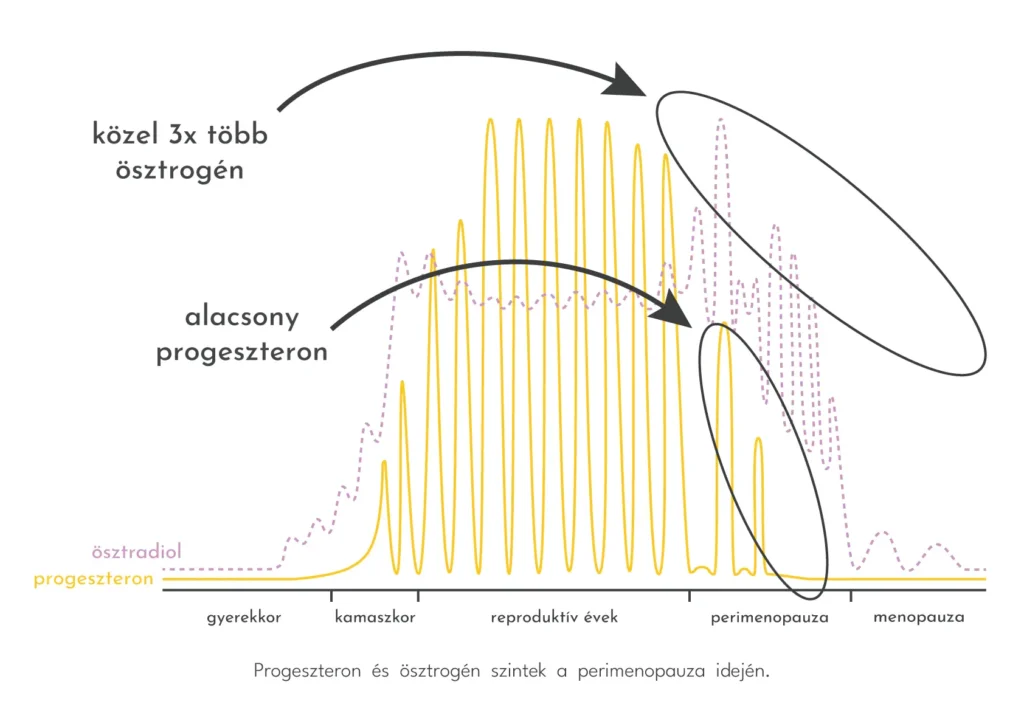 Progeszteron és ösztrogén szintek a perimenopauza idején 
