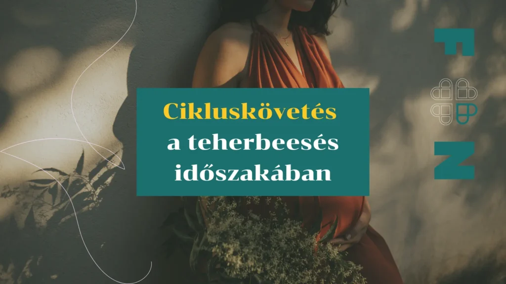 Cikluskövetés a teherbeesés időszakában