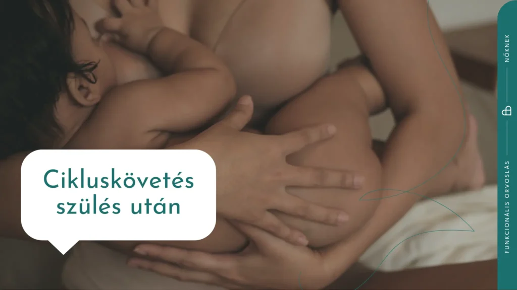 Cikluskövetés szülét után 